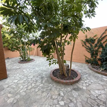 木屋 Casa 3 Ragel Costa 加的斯